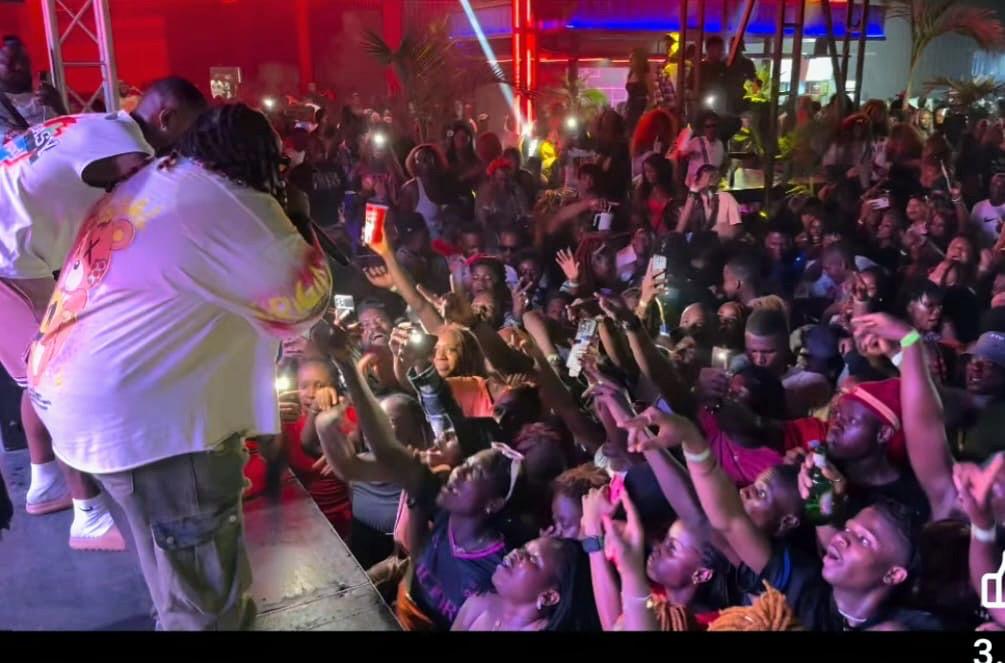 Live Performance Crowd